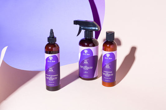 Lancierung der Reiswassersammlung