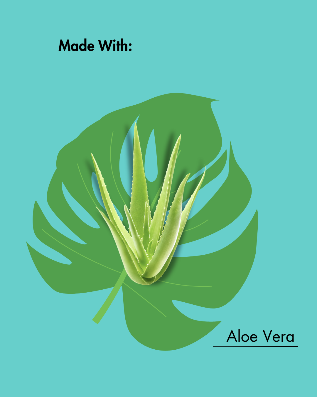 Aloe-Vera-Pflanze auf einem grünen Blatt mit dem Text "Made With: Aloe Vera" auf einem blaugrünen Hintergrund