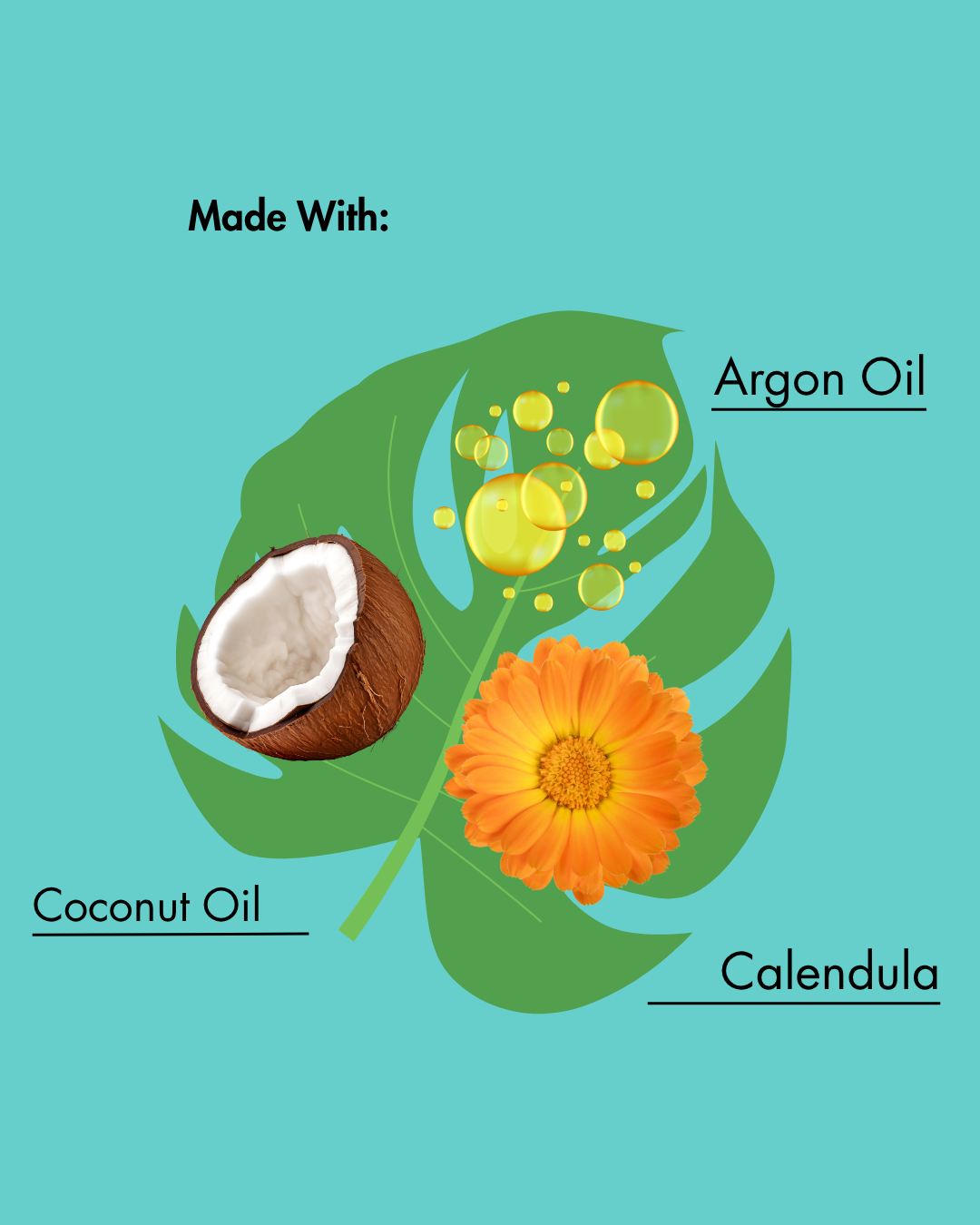 Produktetikett mit Kokosnuss, Ringelblumenblüten und Arganöl auf einem blaugrünen Hintergrund