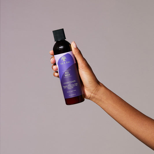 Reiswasseraufbereiter