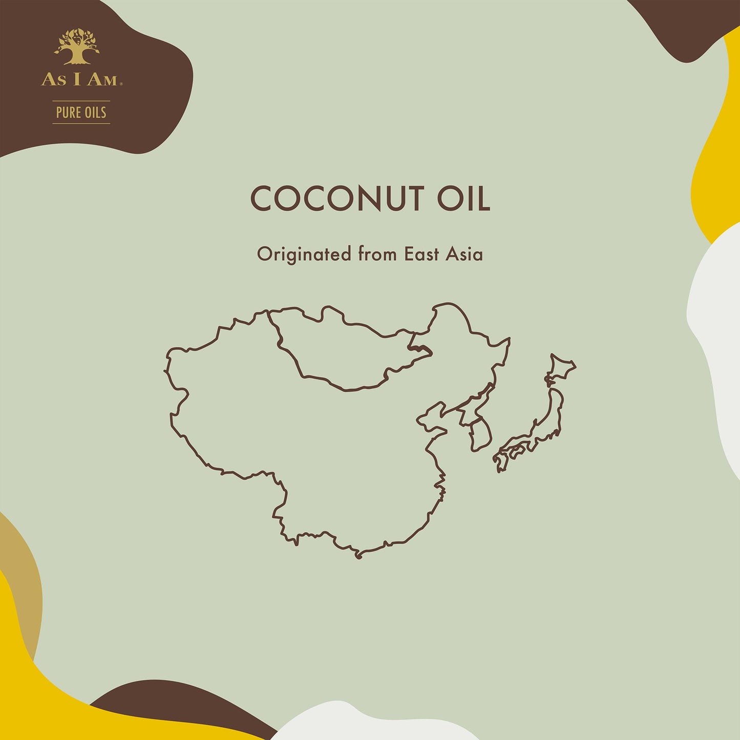 Reine Öle Natives Kokosnussöl Extra