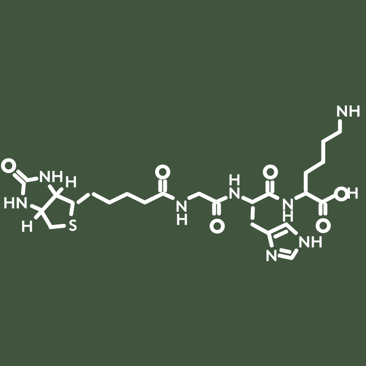Nahaufnahme des Biotinoyltripeptid-1-Moleküls, das dafür bekannt ist, die Haarfollikel zu stärken, den Haarausfall zu reduzieren und ein dichteres Haarwachstum zu fördern.