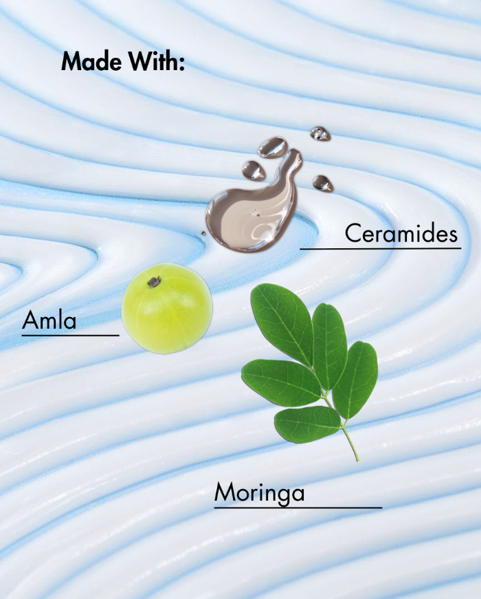 Diagramm mit Amla, Moringa und Ceramiden auf einem gewellten blauen Hintergrund.