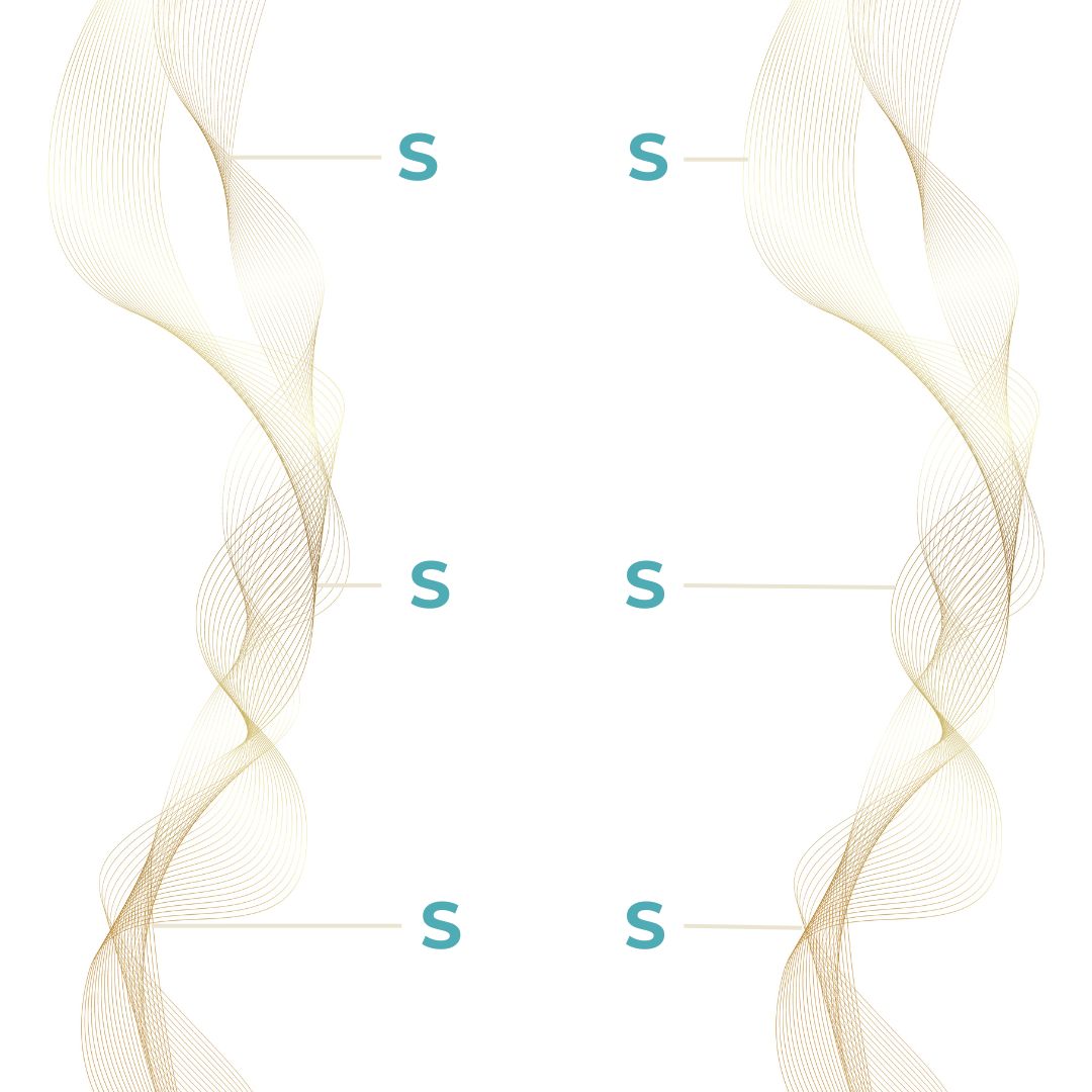 As I Am Bond Collection - Kräftigen, reparieren und schützen Sie Ihr Haar mit unserer fortschrittlichen Formel für den Aufbau von Bindungen. Diese Kollektion wurde für alle Haartypen entwickelt und hilft, Haarbruch zu reduzieren, die Elastizität zu verbessern und gesunde, widerstandsfähige Strähnen wiederherzustellen. Vegan, tierversuchsfrei und wissenschaftlich formuliert für ultimative Haarstärke.