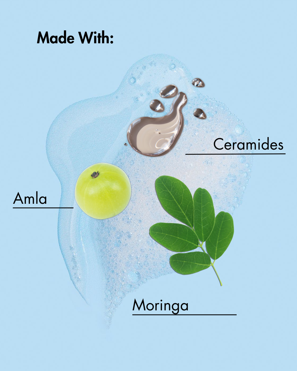 Diagramm mit Amla, Moringa und Ceramiden mit blauem Hintergrund
