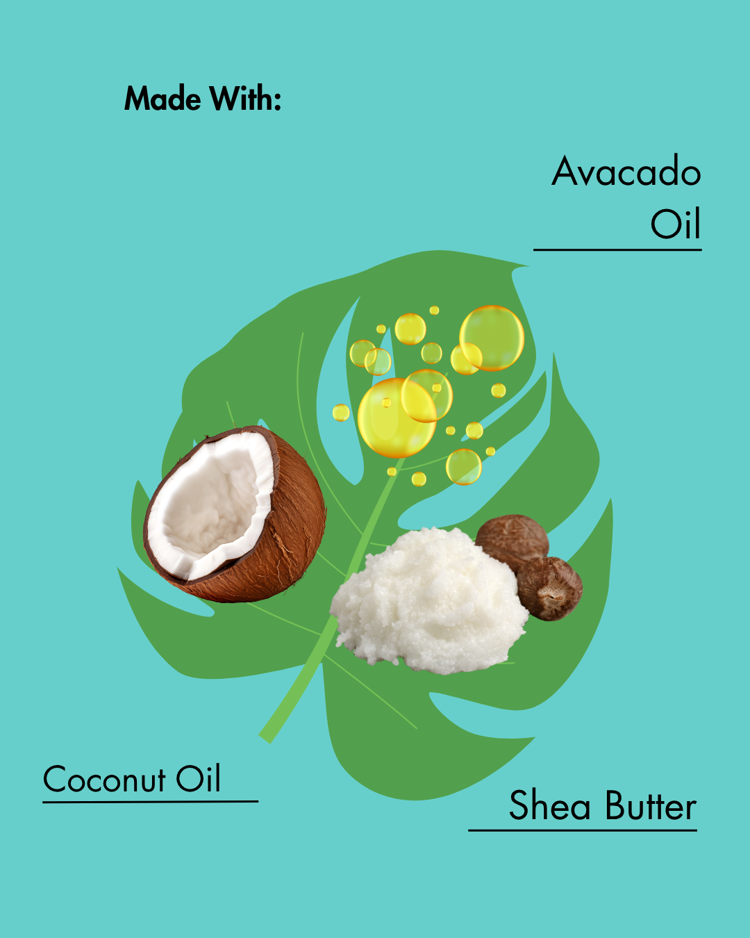 Illustration von Avocado, Kokosnuss und Sheabutter mit Text auf einem blaugrünen Hintergrund