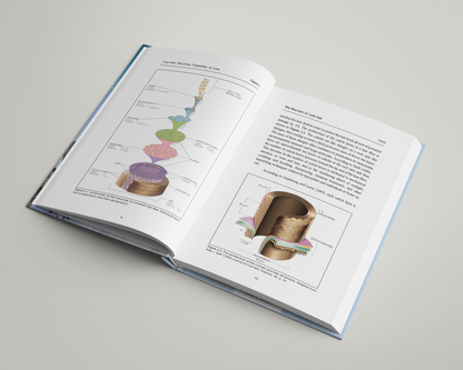 Das Buch von Dr. Syed über lockiges Haar, ein Expertenratgeber, der die Wissenschaft, die Pflege und den Erhalt von natürlich lockigem und krausem Haar untersucht.