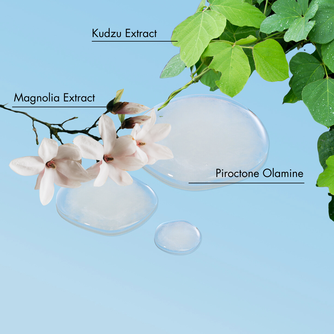 Trockene und juckende Kopfhautpflege Tropfen zur Linderung von Juckreiz