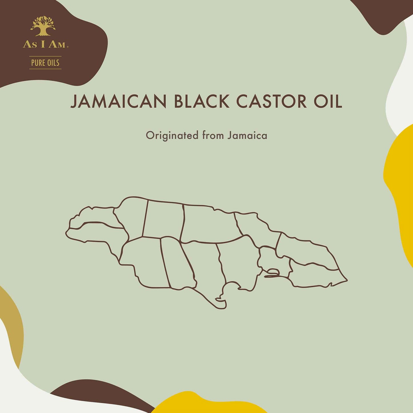 reine öle natives jamaikanisches schwarzes rizinusöl